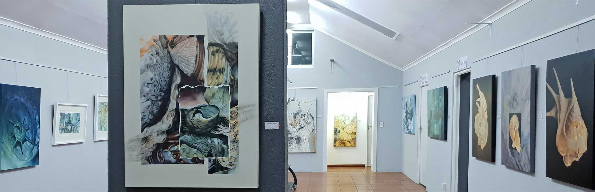 Bronwen Schalkwyk's Fine Art has been on local and international exhibition many times over the decades, with each the eye and heart are delighted by her brilliance shining through.