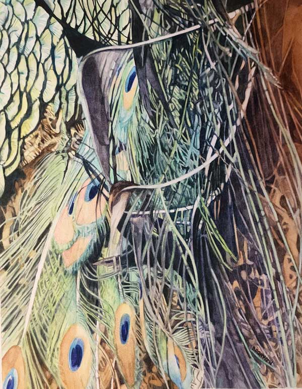 Bronwen Schalkwyk's FEATHERED FLURRY - watercolour by Bronwen Schalkwyk