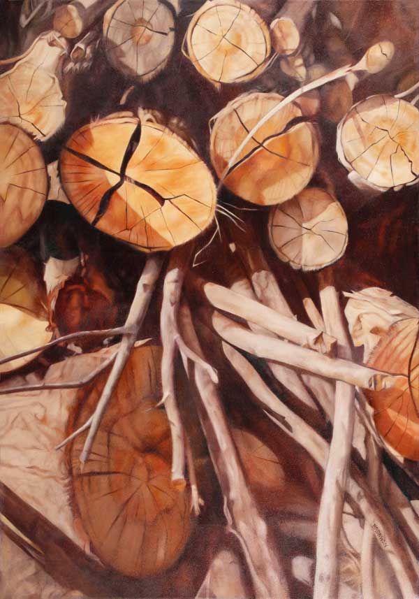 Bronwen Schalkwyk's FELLED LOGS - 700mm x 1000mm Oil On Canvas painting by Bronwen Schalkwyk