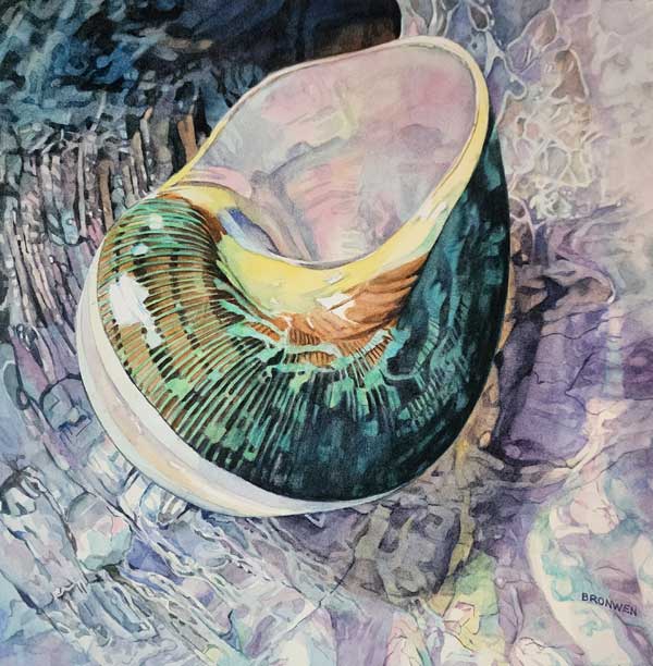 Bronwen Schalkwyk's IRIDESCENCE - watercolour by Bronwen Schalkwyk