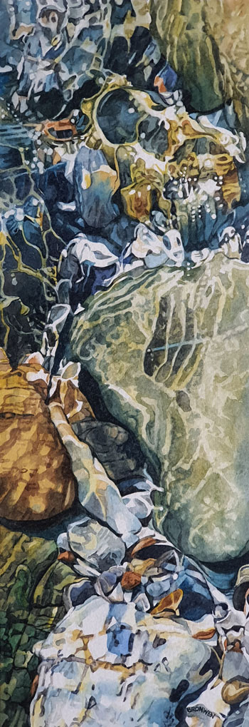 Bronwen Schalkwyk's JEWELS OF THE SEA - watercolour by Bronwen Schalkwyk