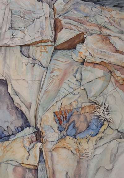 Bronwen Schalkwyk's NESTING - 340mm x 500mm watercolour by Bronwen Schalkwyk