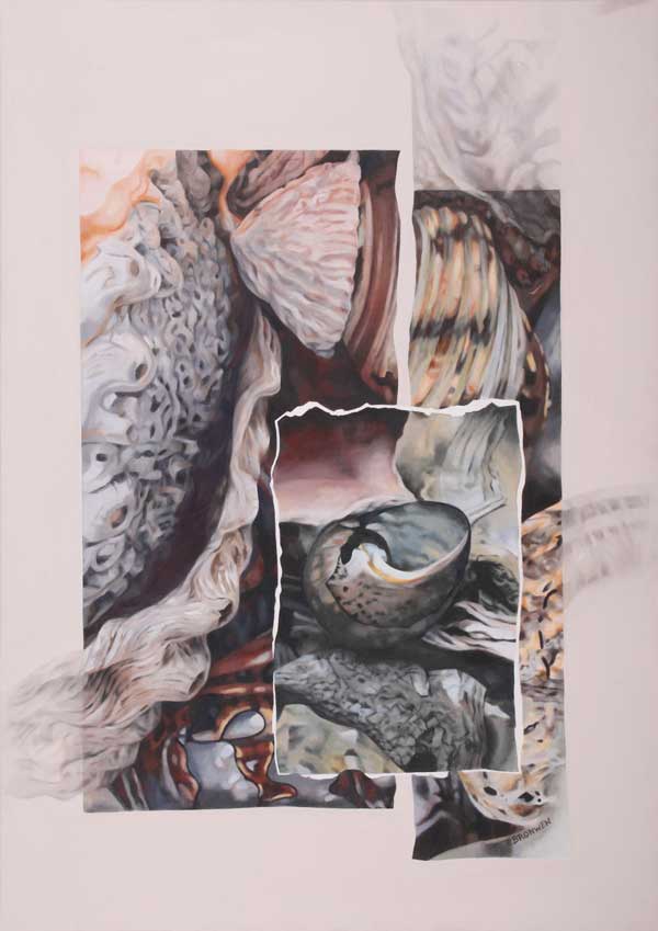 Bronwen Schalkwyk's SHELL MEDLEY - 850mm x 1200mm Acrylic on Canvas by Bronwen Schalkwyk