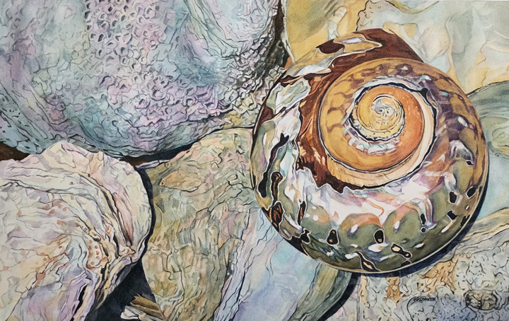 Bronwen Schalkwyk's UNTITLED 22,5cm x 22.5cm  - watercolour by Bronwen Schalkwyk